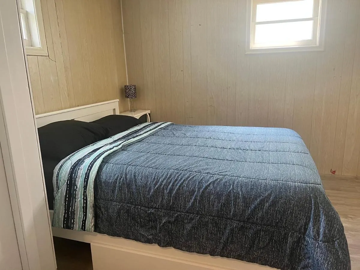 Spacious Room With Tv, Wi-Fi, Netflix, Parking Edmonton Canada